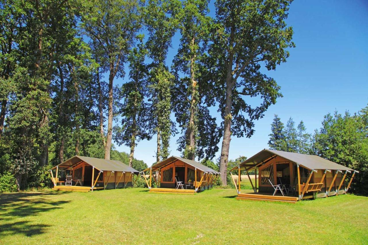 Ferienhof Brinkort Warmsen Extérieur photo